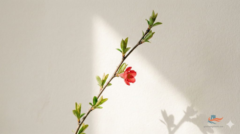 Cành hoa xuân nảy lộc non và hoa đỏ dưới ánh nắng nhẹ, hình ảnh minh họa nghệ thuật (minimalist) cho không khí mùa xuân và hy vọng năm mới.