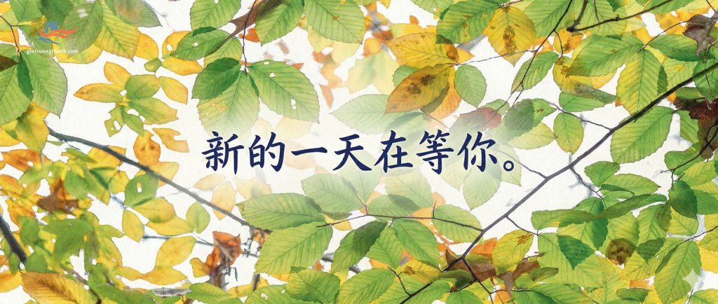 Ảnh chúc ngày mới tiếng Trung 新的一天在等你 với nền lá cây xanh mát nghệ thuật.