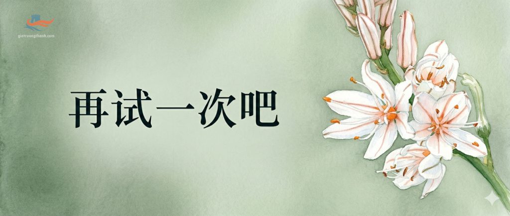 Mẫu câu khích lệ tiếng Trung Zai Shi Yi Ci Ba - Thử lại lần nữa xem.